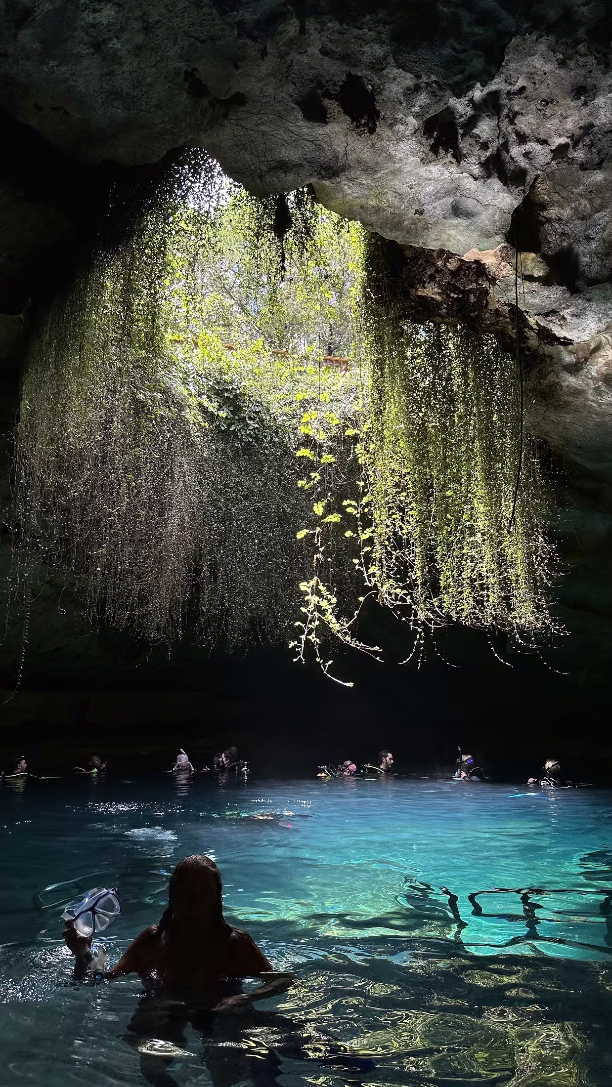 Swimmers in a cave pool with sunlight filtering through an opening above, lush hanging plants at the entrance, creating a serene, natural setting.