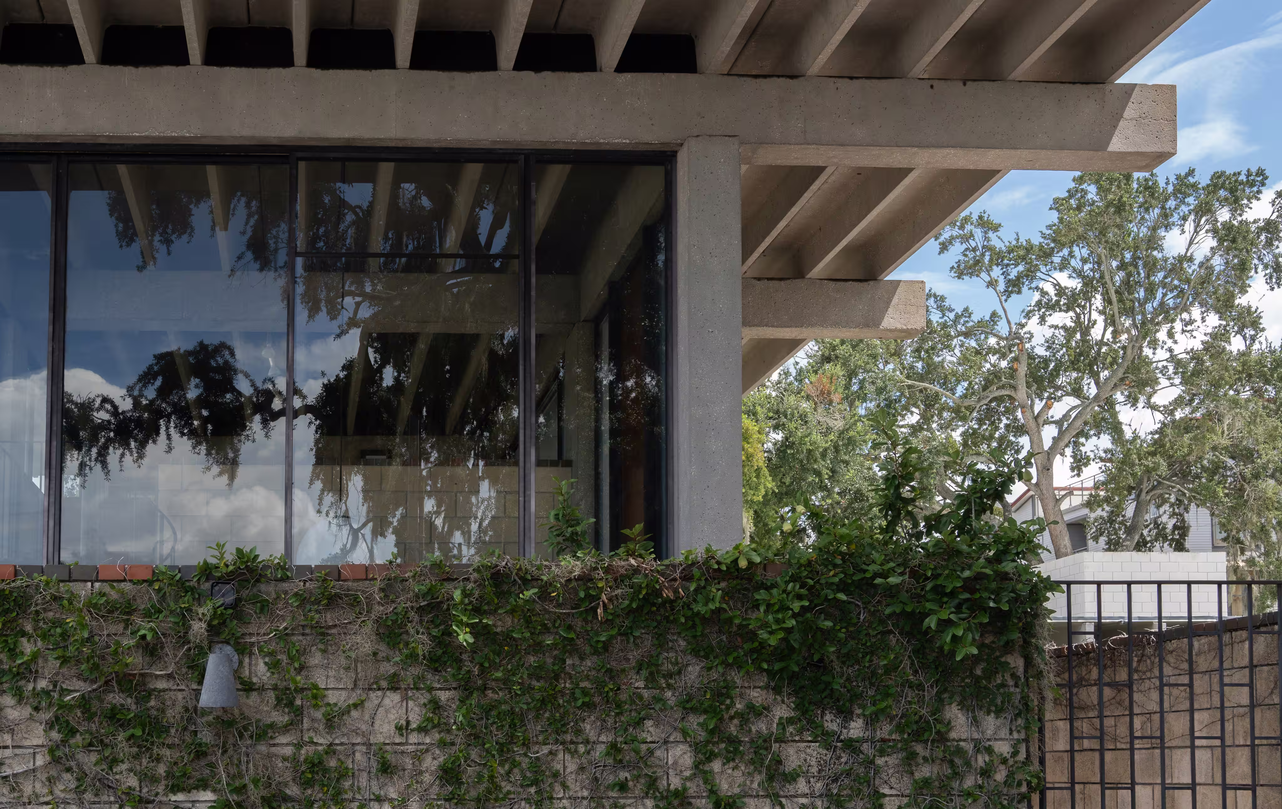 Concrete beams, glass walls, and vine-covered concrete block define a modernist office with exposed structure and clean lines amid leafy surroundings.