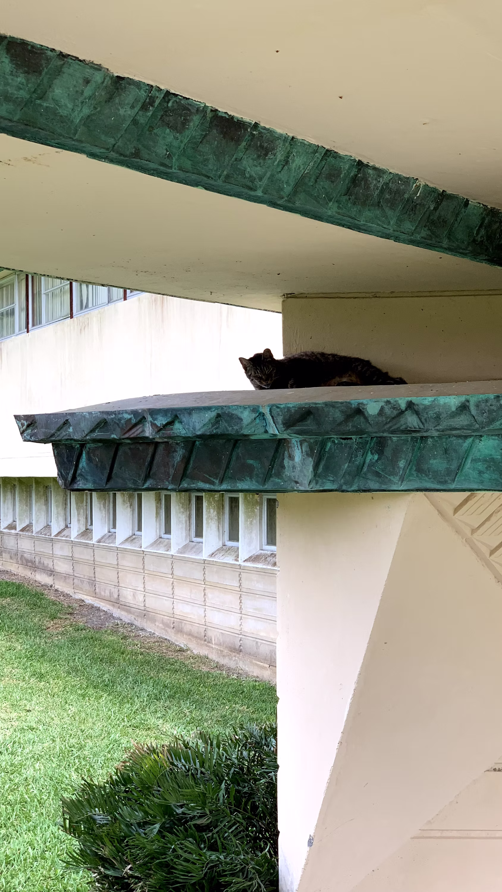 Frank lloyd wright florida southern college in lakeland