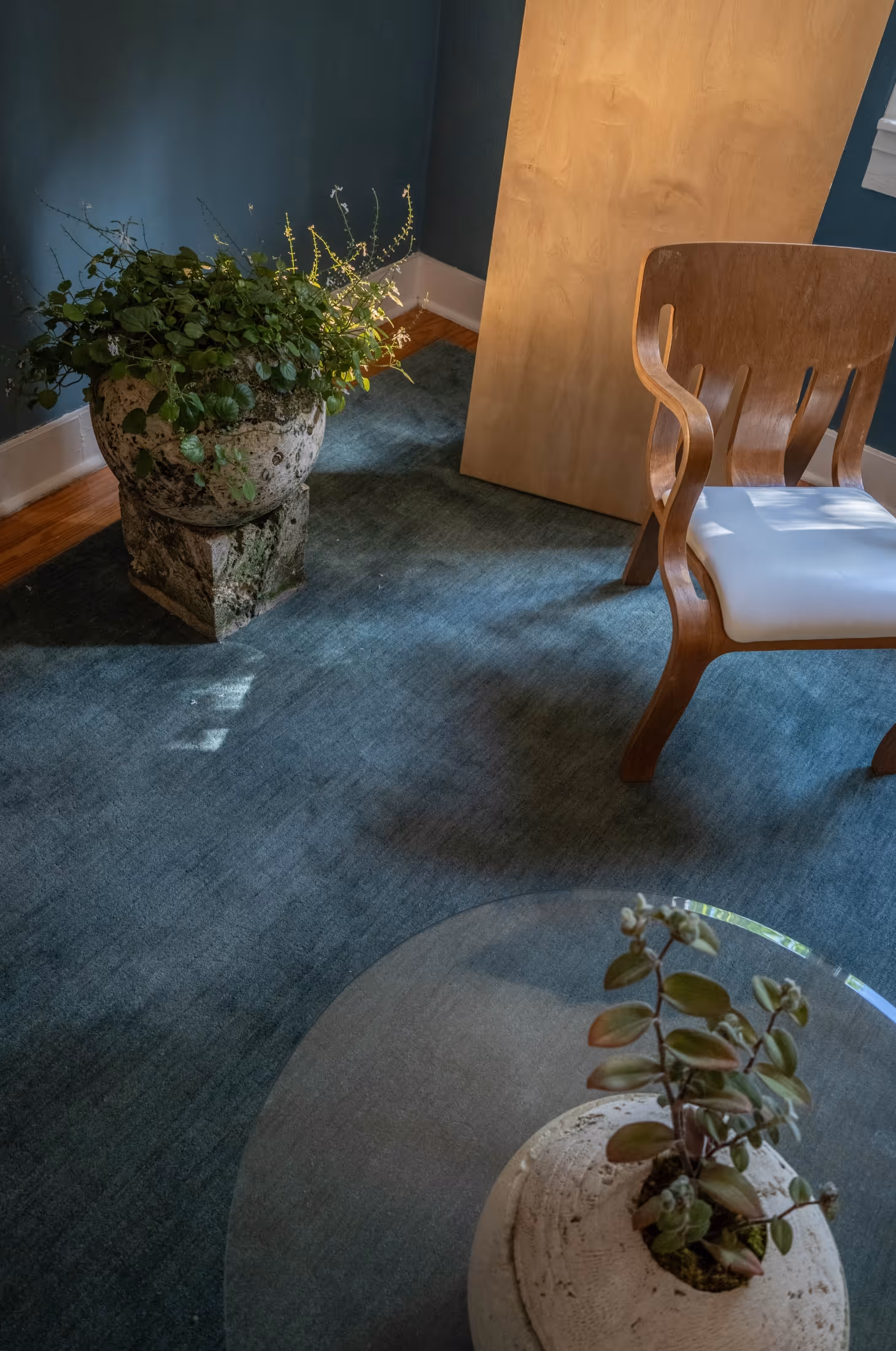 Alcova miami arrived aliens