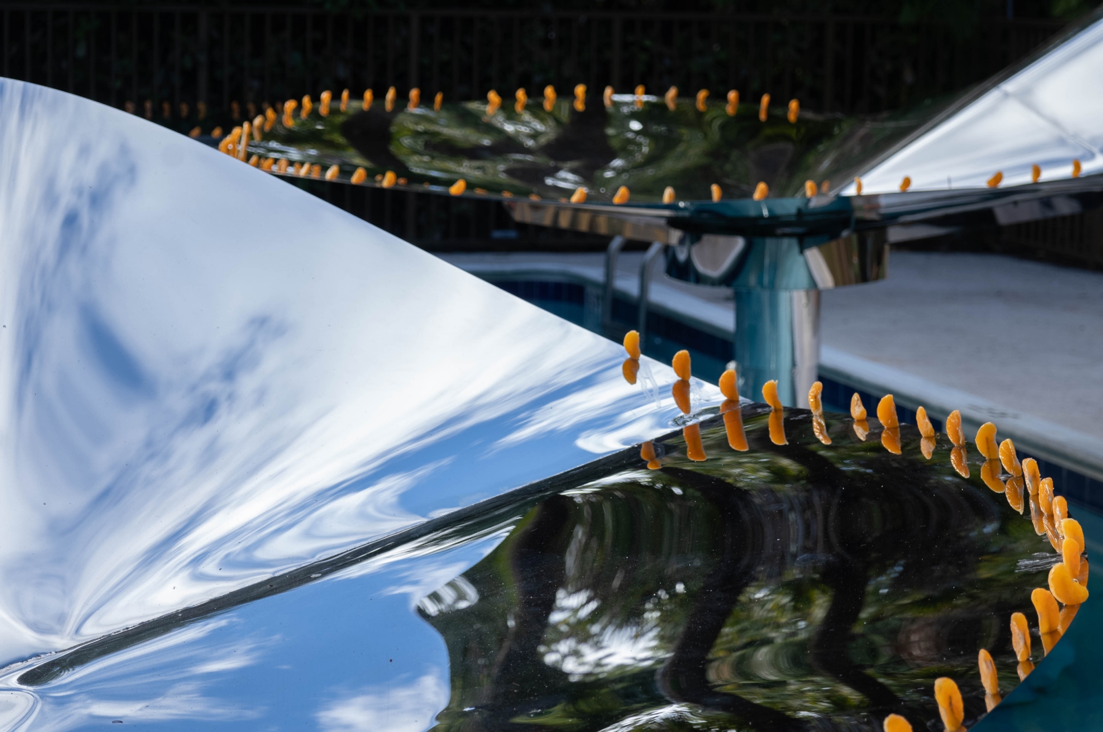 Alcova miami river inn site photo