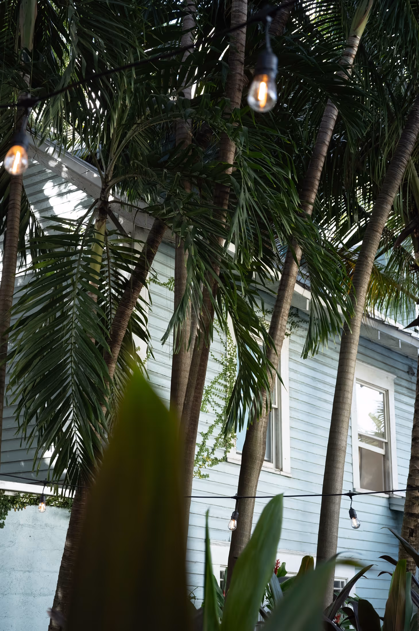 Alcova miami river inn site photo