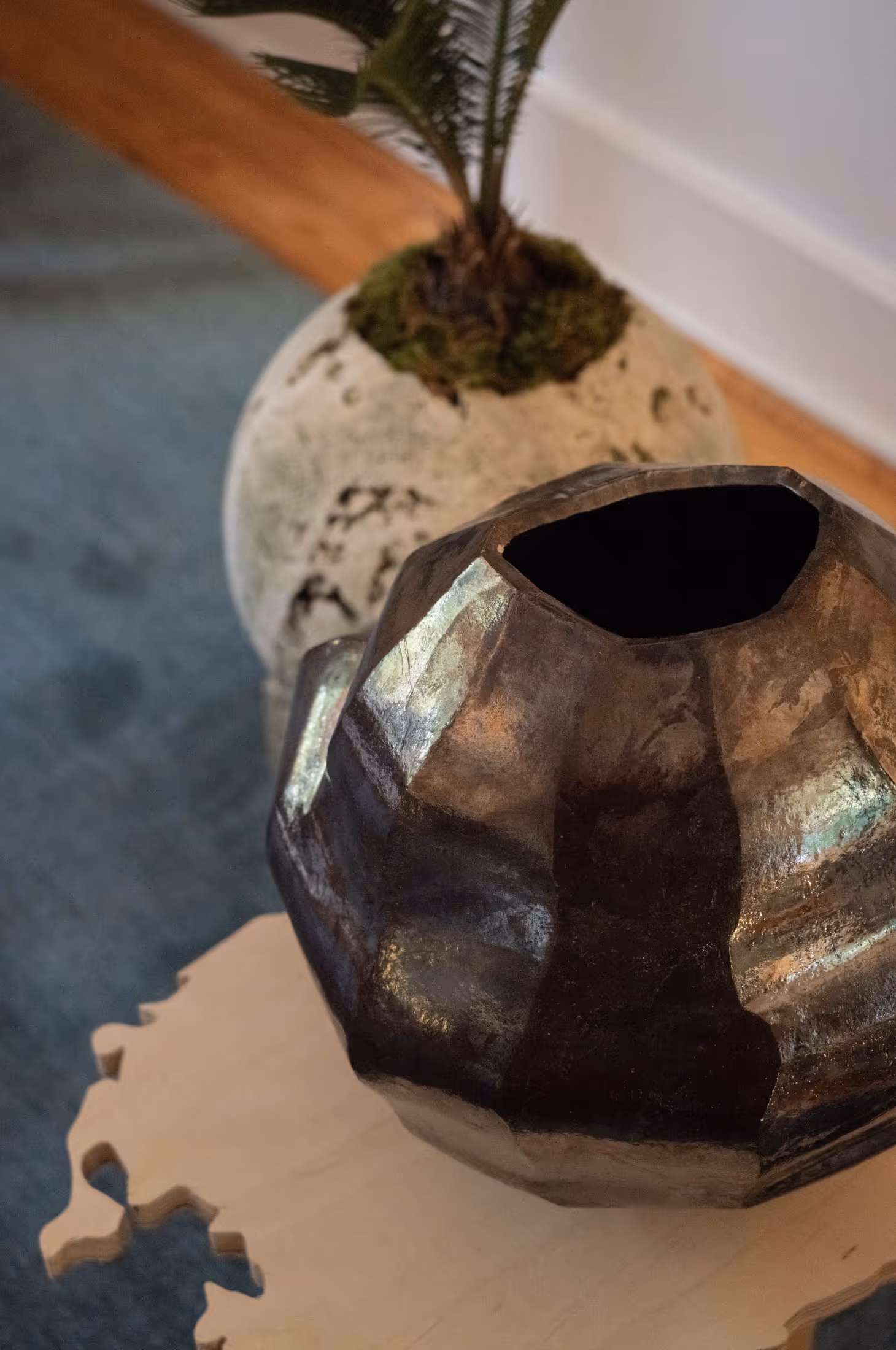 Alcova miami arrived aliens