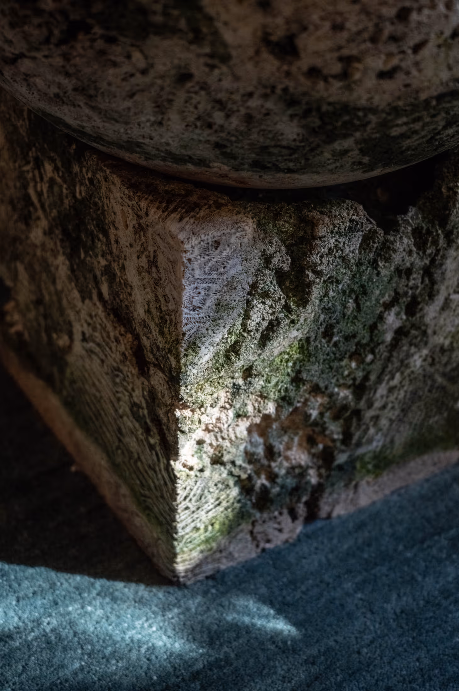 Alcova miami arrived aliens